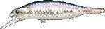 Lucky Craft Lighting Pointer 9 5/8Oz Ms American Shad Model: LTPT98XR-270MSAS