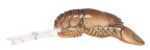 REB Teeny Wee Craw 1/10-Brown