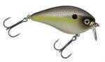 Strike King Kvd Shallow Sqr Bi 1-1/2In 3Ft Summer Sexy Shad Model: HCKVDS1.5SH-652