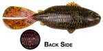 Strike King Rage Shellcracker 3-3/4In 6Pk Falcon Lake Craw