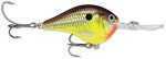 Rapala Dt Crankbait 2-1/8In 3/8Oz (6ft) Hot Mustar Md#: RDT06Hm