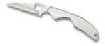 Spyderco Kiwi3 Stainless Steel Plainedge C75P3 Knife