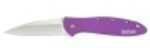 Kershaw Leek Jewel Tone Purple Knife 1660PUR