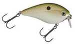 Strike King Kvd1.5Sh Tn Shad 3pk