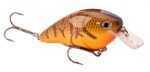 Strike King KVD Square Bill 2.5 Oz Crankbait Belly Craw