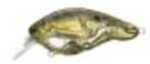 Koppers Livetarget Crawdad Square Bill 3-5ft 1/2 Oz Ghost/Green