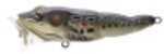 Koppers LiveTarget Frog Popper 2 1/2" 1/4Oz Brown/ Black