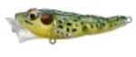 Koppers Frog Popper 75 Ghost/Green