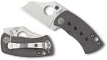 Spyderco McBee Folder 1.52 in Plain Titanium Handle