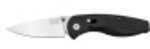 SOG Aegis Mini Folding Knife AE21-CP