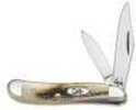 Case Folding Knife With Clip/Pen Blades & Stag Handle Md: 00048