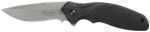 Columbia River K480KKP Onion Folder AUS-8 Drop Point Blade Organic Polymer