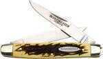 Winchester 2-Blade Muskrat Knife